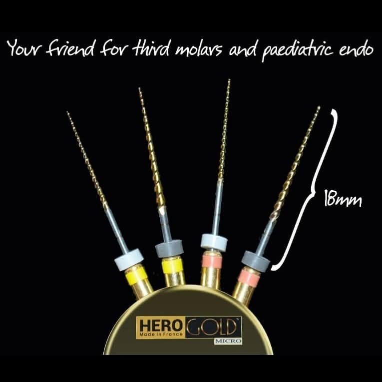 Micromega Herogold Mini Rotary Files