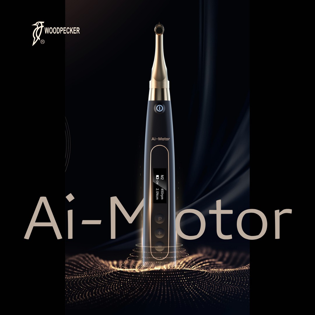 Woodpecker AI  Endomotor with T mode